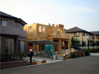 Ǒg